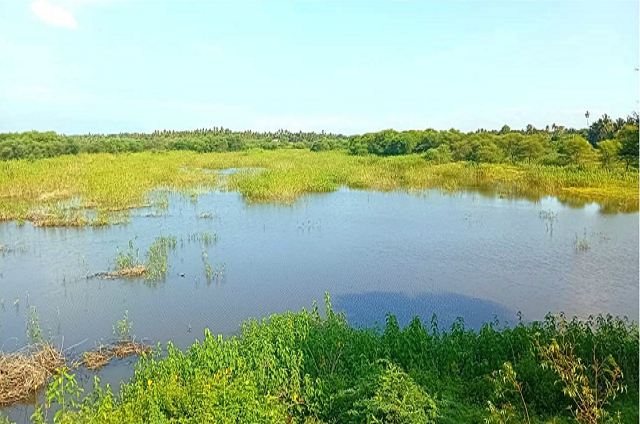 Kannur Lake
