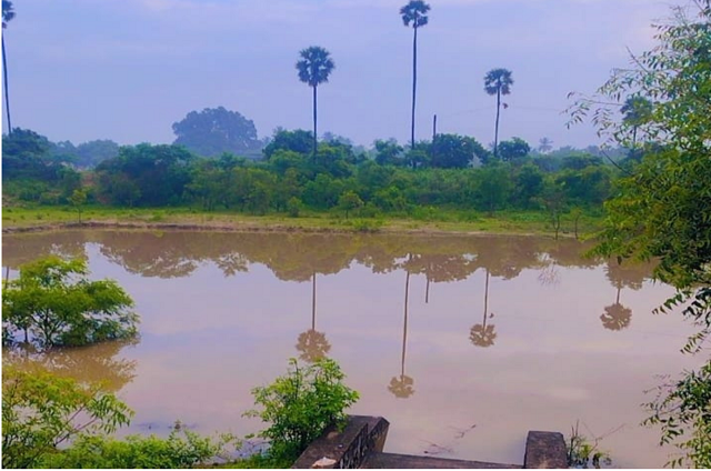 Kunnathur Pond